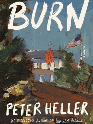 Burn: A novel